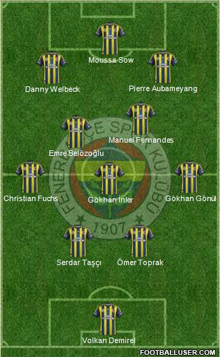 Fenerbahçe SK Formation 2013