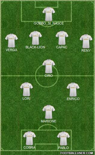 Swansea City Formation 2013
