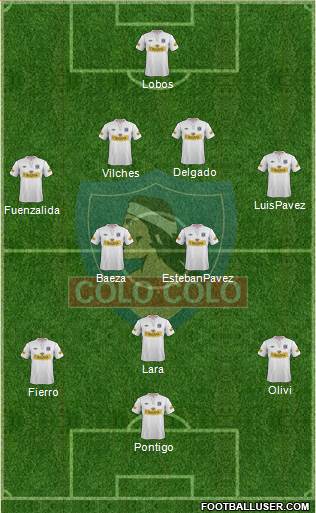 CSD Colo Colo Formation 2013