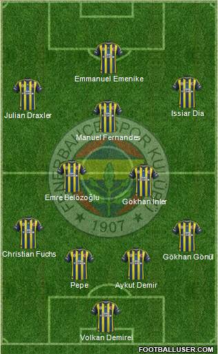 Fenerbahçe SK Formation 2013