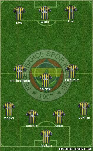 Fenerbahçe SK Formation 2013