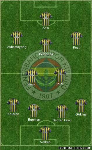 Fenerbahçe SK Formation 2013