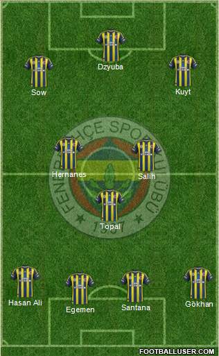 Fenerbahçe SK Formation 2013