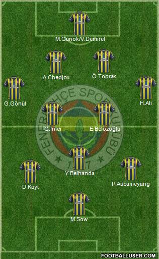Fenerbahçe SK Formation 2013