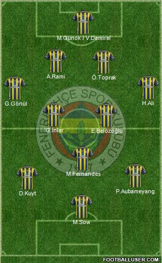 Fenerbahçe SK Formation 2013