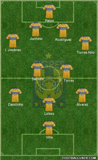 Club Universitario de Nuevo León Formation 2013