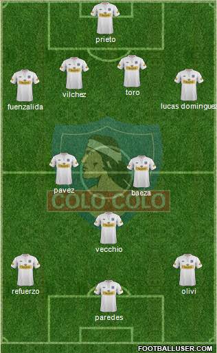 CSD Colo Colo Formation 2013