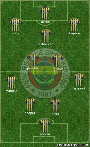Fenerbahçe SK Formation 2013