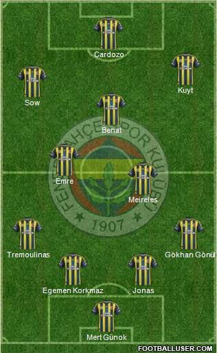 Fenerbahçe SK Formation 2013