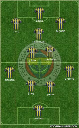 Fenerbahçe SK Formation 2013