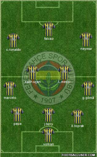 Fenerbahçe SK Formation 2013