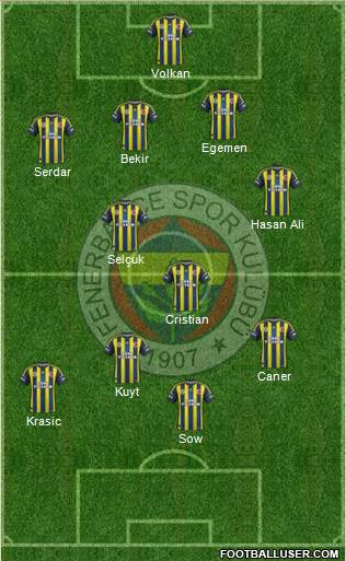 Fenerbahçe SK Formation 2013