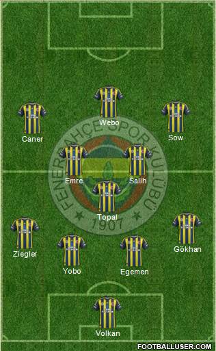 Fenerbahçe SK Formation 2013