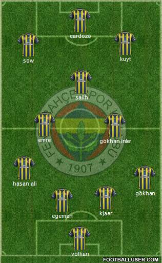 Fenerbahçe SK Formation 2013