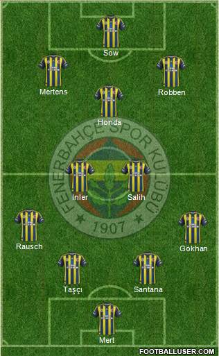 Fenerbahçe SK Formation 2013