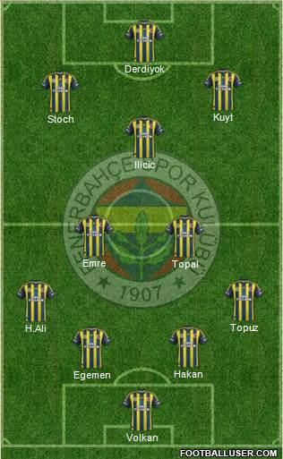 Fenerbahçe SK Formation 2013