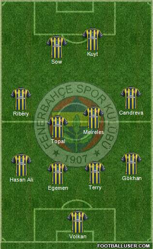 Fenerbahçe SK Formation 2013