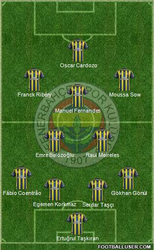 Fenerbahçe SK Formation 2013