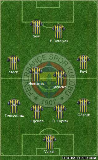 Fenerbahçe SK Formation 2013