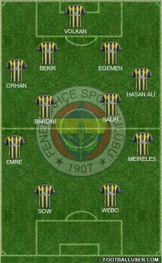Fenerbahçe SK Formation 2013