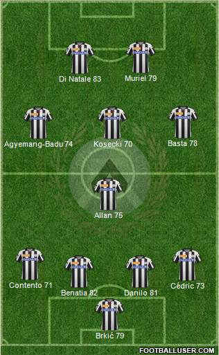 Udinese Formation 2013