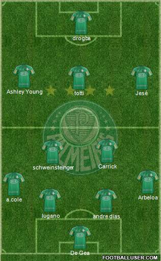 SE Palmeiras Formation 2013