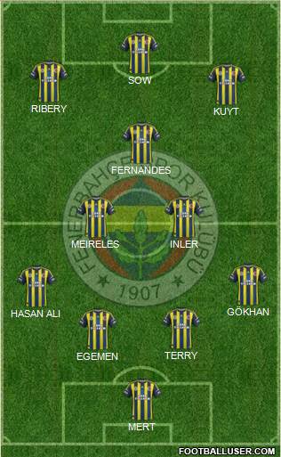 Fenerbahçe SK Formation 2013