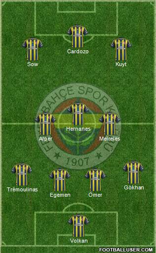Fenerbahçe SK Formation 2013