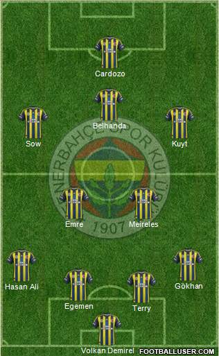 Fenerbahçe SK Formation 2013