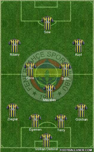 Fenerbahçe SK Formation 2013
