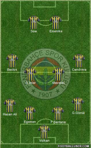 Fenerbahçe SK Formation 2013