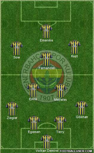 Fenerbahçe SK Formation 2013