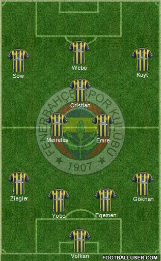 Fenerbahçe SK Formation 2013