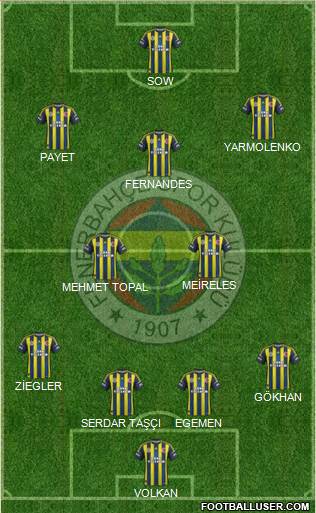 Fenerbahçe SK Formation 2013