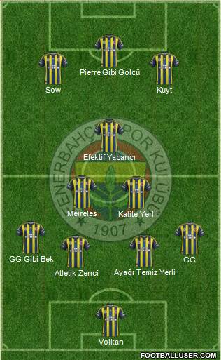 Fenerbahçe SK Formation 2013
