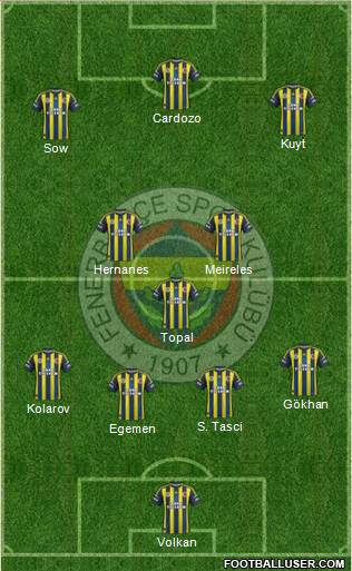 Fenerbahçe SK Formation 2013