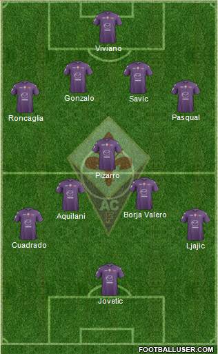 Fiorentina Formation 2013