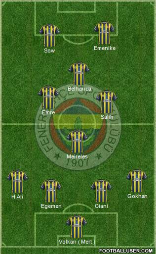 Fenerbahçe SK Formation 2013