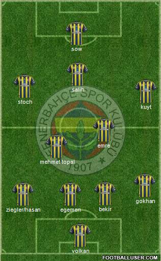 Fenerbahçe SK Formation 2013
