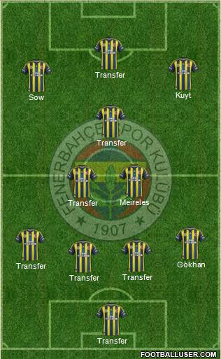 Fenerbahçe SK Formation 2013