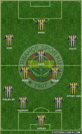 Fenerbahçe SK Formation 2013