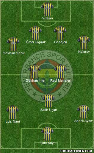 Fenerbahçe SK Formation 2013