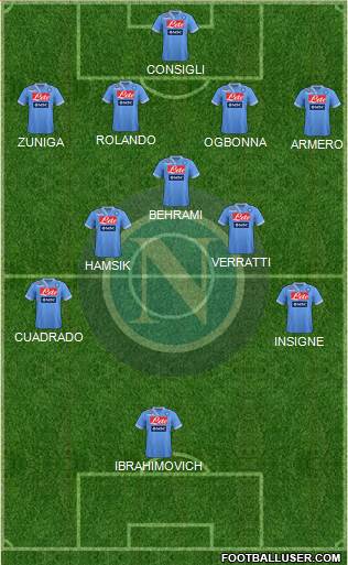 Napoli Formation 2013