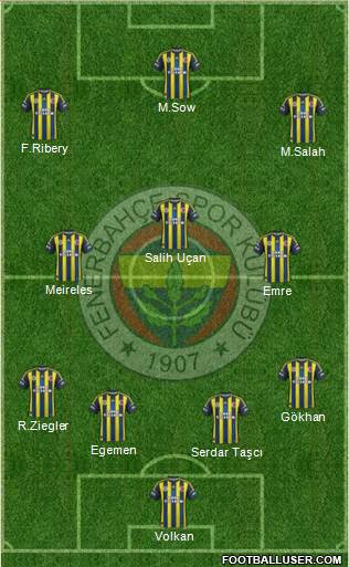 Fenerbahçe SK Formation 2013