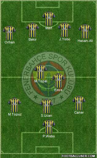 Fenerbahçe SK Formation 2013
