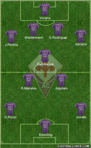 Fiorentina Formation 2013