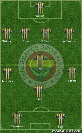 Fenerbahçe SK Formation 2013