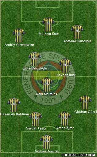 Fenerbahçe SK Formation 2013