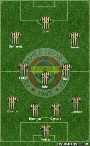 Fenerbahçe SK Formation 2013