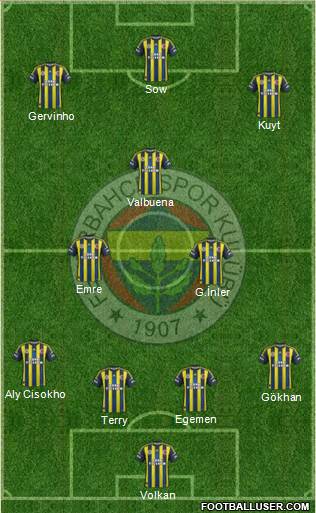 Fenerbahçe SK Formation 2013